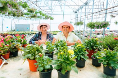 Front view looking at camera in a greenhouse with seedlings of indoor flowers two smiling female florists are sitting pretty after a working day. They have a good mood and happy smiles. Copy space.