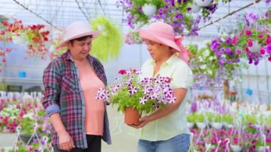 Front view looking at each other two elderly women in greenhouse talking, holding indoor flower. In their hands a flower in pot. There are many other different flowers in the greenhouse. Copy space.