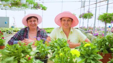 Front view looking at camera in a greenhouse with seedlings of indoor flowers two smiling female florists are sitting pretty after a working day. They have a good mood and happy smiles. Copy space.