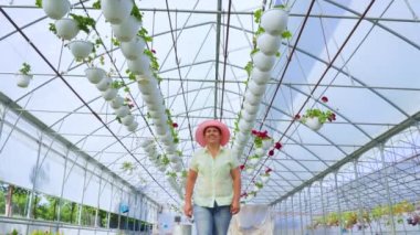 Front view from below, elderly woman florist in a greenhouse, female florist in a hat slowly walks among the flowers. Large greenhouse with seedlings of indoor plants. Woman rejoices her success.