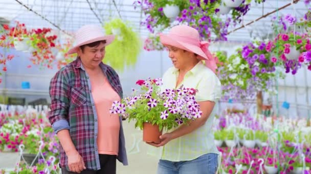 Front View Looking Each Other Two Elderly Women Greenhouse Talking — Stockvideo