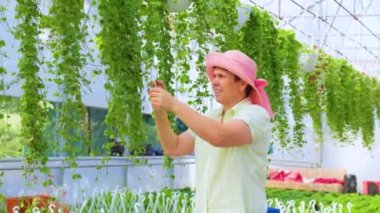 Front view of diligent greenhouse worker taking care of flowers, female florist looking at plants closely. The woman takes her job seriously. Smiling and looking at green plants. Copy space.