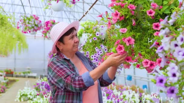 Front View Florist Woman Plaid Shirt Carefully Check Quality Grown — Vídeo de Stock