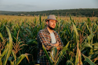 Side view looking away handsome young farmer man standing in cornfield with arms crossed, at sunset. Agronomist with pensive look happy standing in field, hat on head. Horizon line visible. 