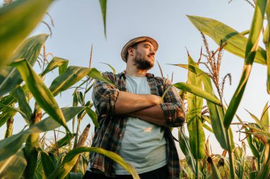Side view looking away handsome young farmer man standing in cornfield with arms crossed, at sunset. Agronomist with pensive look happy standing in field, hat on head. Horizon line visible. 