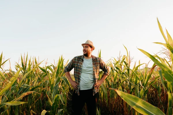 A handsome young man farmer stands in a cornfield, looks thoughtfully into the distance, front view. On the head is a hat, the background is a field, a clear sky, arms on hips. Copy space.