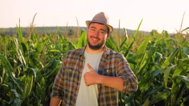 Young man farmer agronomist stands in corn field and shows thumb up, he is satisfied, front view looking at the camera. A male shows his joy against background of a sunny day. Copy space.
