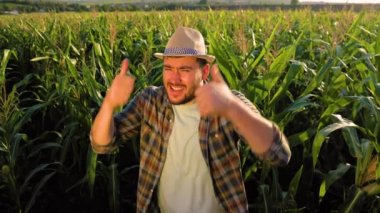 Top view looking at camera a young energetic male farmer in corn scream yes, show thumb up, dance, laugh. Happy enthusiastic man agronomy show immense joy about good harvest. Background cornfield.
