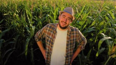 Top view against the background of cornfield, young man agronomist stand joyfully and tiredness put hands on hips. Looking at camera satisfied male farmer finished working day in a good mood.