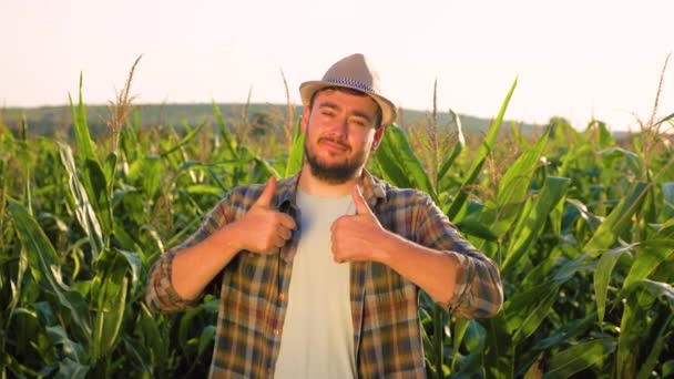 Smiling Young Man Agronomist Stand Field Showing Thumb Corn Field — Stok video