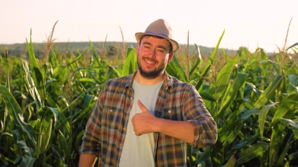 Young Man Farmer Agronomist Stands Corn Field Shows Thumb Satisfied — Stock videók