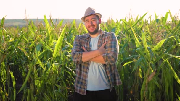 Впевнений Щасливий Молодий Фермер Стоїть Руках Схрещених Кукурудзяному Полі Вид — стокове відео