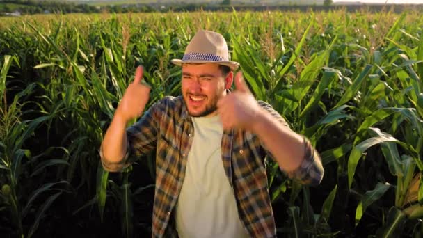 Top View Looking Camera Young Energetic Male Farmer Corn Scream — Stock videók