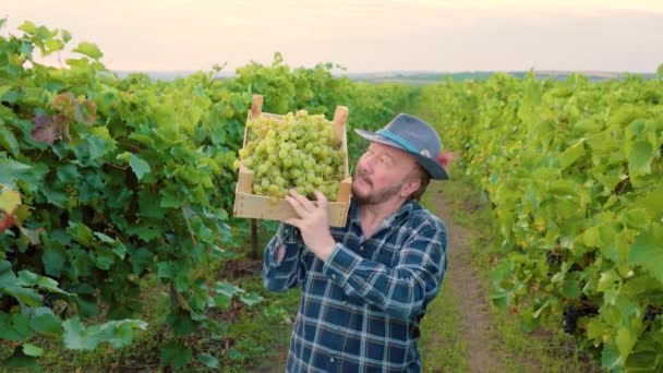 Vooraanzicht Van Oudere Mannelijke Boer Wijnboer Houden Lift Box Van — Stockvideo