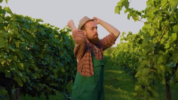 Side View Young Farmer Winemaker Dances Joyfully Gesturing His Hands — Stock Video