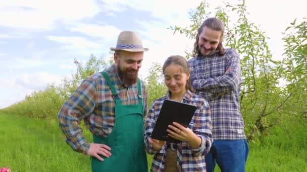 フロントビュー3若い農家のリンゴの果樹園ビジネスジェスチャーの手の男性ひげ髭の帽子の作業服について話をする 家族経営の計画によると女性の男性幸せな分析会社のパフォーマンス — ストック動画
