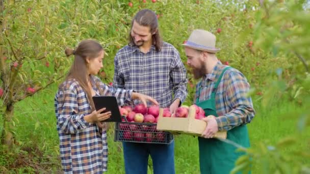 Vista Frontal Jóvenes Agricultores Hombres Cajas Manos Mujer Una Tableta — Vídeos de Stock