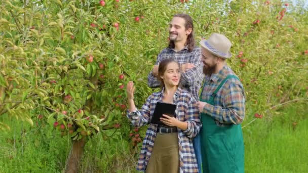 フロントビューリンゴと3人の若者の家族の農家の果樹園は 収穫の女性が男性に何かを示して検査します 美しいリンゴの果樹園を背景に妻と弟と夫 笑顔と幸せ — ストック動画