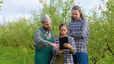 Önden üç genç kız ve iki erkek bir elma bahçesinde duruyor, bir tablet tutuyor ve iletişim kuruyorlar. Kız, gülen adamlardan birine bakıyor. Sakallı ve uzun saçlı adamlar. Zengin elma bahçesi.