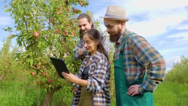 Side View Boeren Broers Zussen Boomgaard Kijken Hoe Hun Appels — Stockvideo