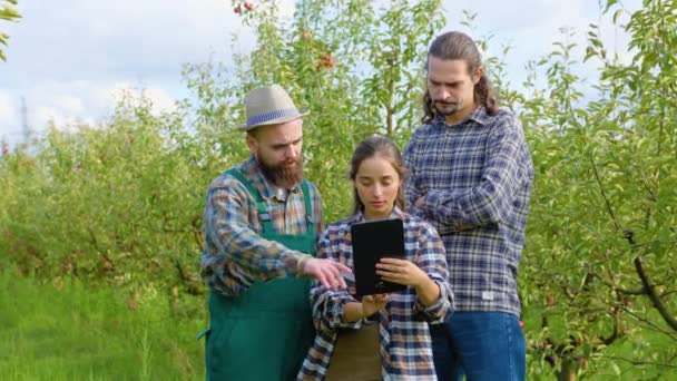 前看三个年轻人女孩和两个男人站在一个苹果园里 拿着一个平板电脑和交流 女孩看着其中一个笑着的男人 留着胡子和长发的家伙富饶的苹果园 — 图库视频影像