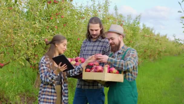 Vista Frontal Três Jovens Agricultores Sorrindo Enquanto Colhem Monitoram Sua — Vídeo de Stock