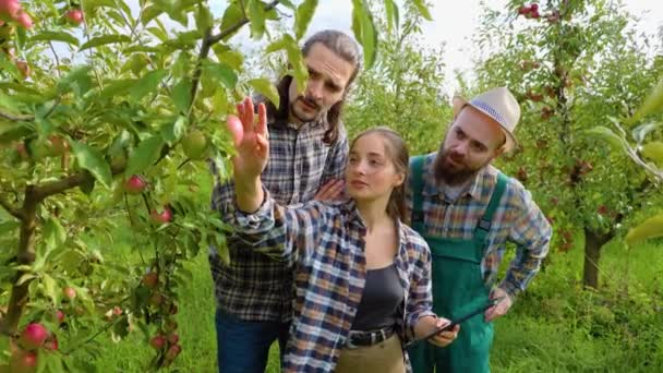 フロントビュー若い女性チーフ農学者は リンゴの果実がどのように成長するかを示す学生農学者の練習を教えています 農夫たちは彼女の話に耳を傾け 胸に手をつないでいる 髭口ひげ — ストック動画