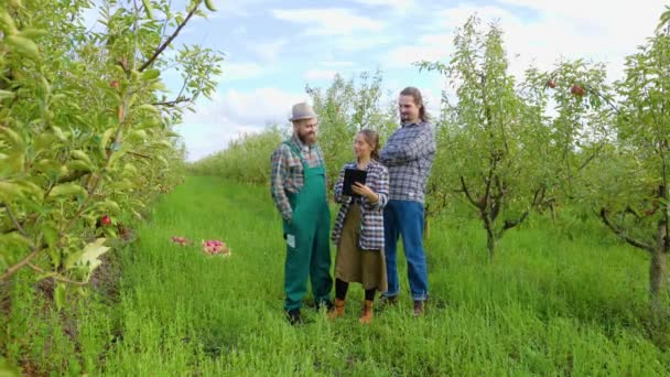 全長フロントビュー3人の若い農民が元気に胸の喜びにポケットハンドで家族経営のビジネスジェスチャーを手を実行します 仕事用の服を着た若者の家族がシャツを着た — ストック動画