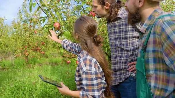 Vista Lateral Jóvenes Agricultores Dirigen Negocio Familiar Cultivar Manzanas Una — Vídeo de stock