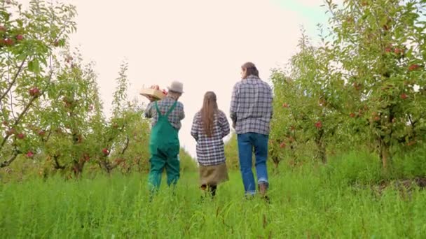 Vue Arrière Des Jeunes Agriculteurs Méconnaissables Quittent Verger Pommiers Vers — Video