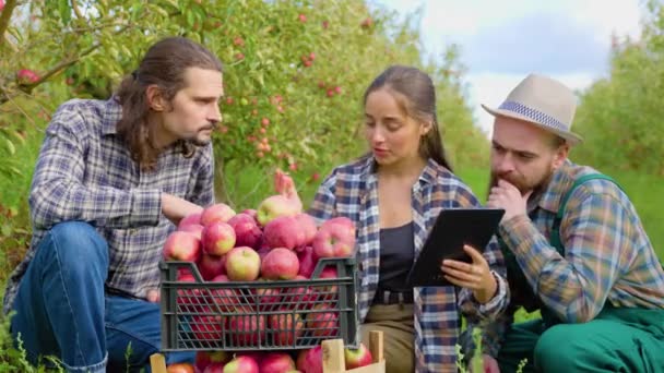 Family Business Young Field Workers Analyze Harvested Crop Gesturing Hands — Stock Video