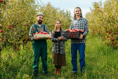 Ön manzara mutlu bir gülümseme. Meyve bahçesinde üç çiftçi kameraya bakıyor. İçinde ekinler ve elektronik tablet olan kutuları tutuyor. Erkekler ve kadınlar yaptıkları işten memnunlar. Hasat toplandı..