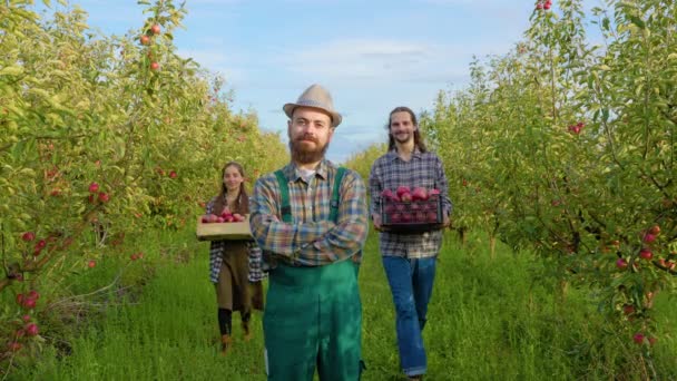 フロントビュー農業の笑顔ひげひげの帽子女の子男労働者リンゴの後ろに胸の上に手を立っている 収穫は箱に集められ 熟しています 豊かなリンゴの果樹園と最高の収穫 家族経営 — ストック動画