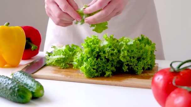 Woman Tears Lettuce Leaves Pieces Preparation Salad Peppers Cucumbers Tomatoes — Vídeo de stock