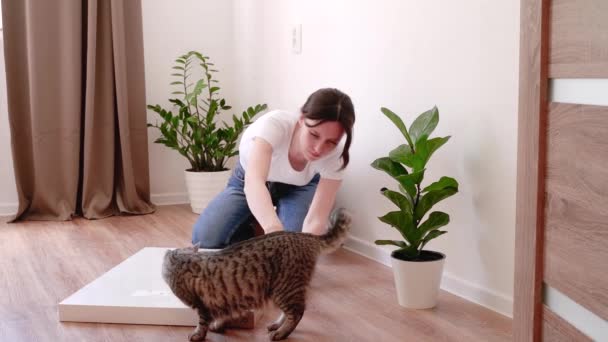 Mujer Desempaca Una Nueva Mesa Café Blanco Suelo Gato Camina — Vídeos de Stock