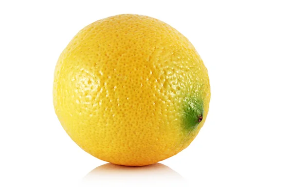 Lemon. — Stock Photo, Image