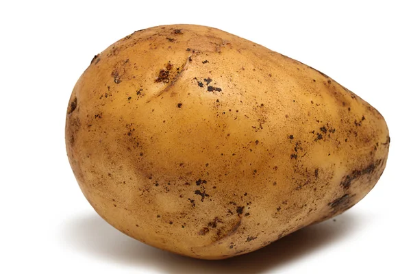 Potatis — Stockfoto