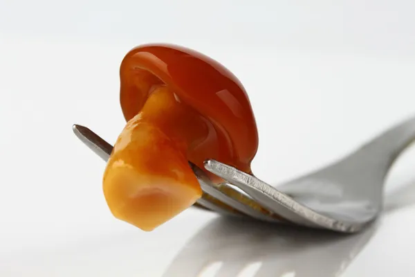 Mushroom — Stock Photo, Image