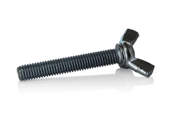 Galvanized steel screw. — Stock Photo, Image