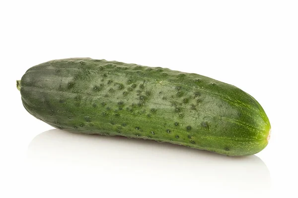 Ripe Fresh Cucumber Close White Background — Stock Photo, Image