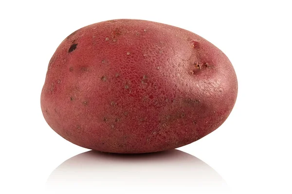 Raw Clean Potato White Background — Stock Photo, Image