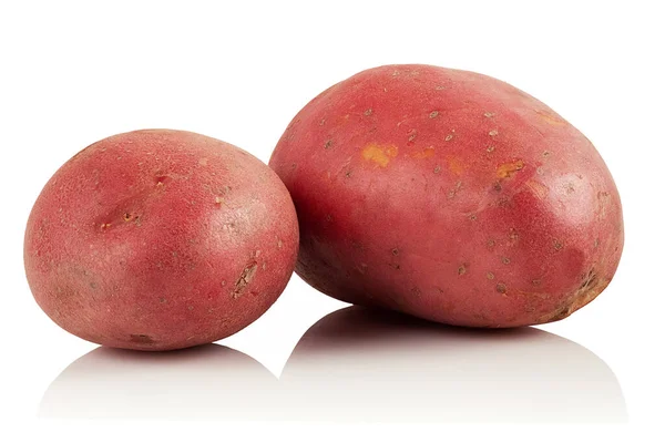 Duas Batatas Cruas Limpas Fundo Branco — Fotografia de Stock