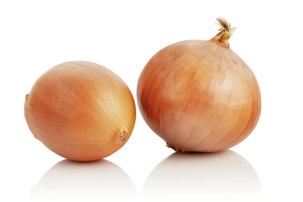 Two Onions Ripe Juicy Onion White Background Stock Image