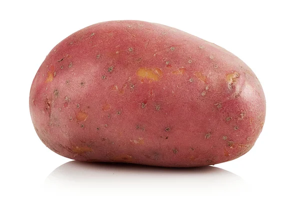 Ren Potatis Vit Bakgrund — Stockfoto