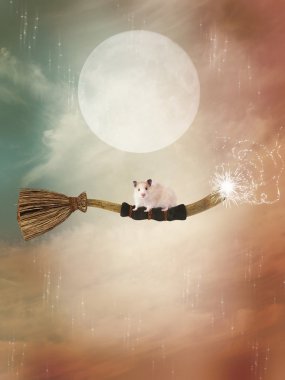 gökyüzünde uçan süpürge