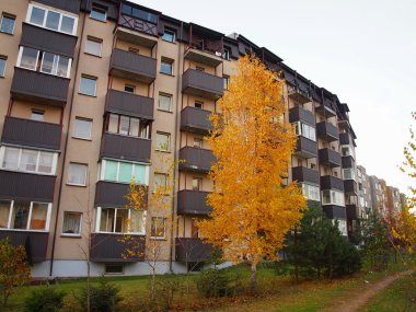 Yalnız huş City - sonbahar geliyor