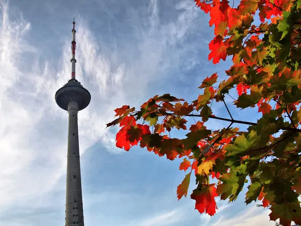 Herbstfarben und Vilnius Fernsehturm in Litauen — Stockfoto