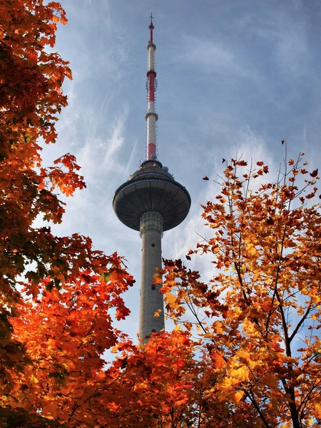 Kolory jesieni i wieża telewizyjna w Wilnie na Litwie — Zdjęcie stockowe