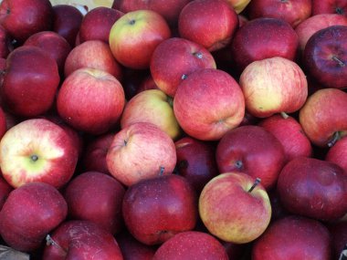 sağlıklı elma yığını