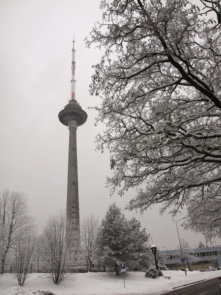 Vilnius televizyon kulesi — Stok fotoğraf